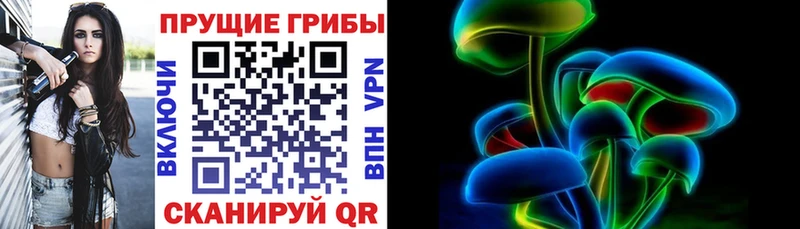 Псилоцибиновые грибы мицелий  где продают   Верхнеуральск 